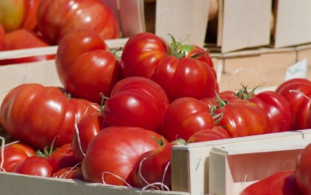 Браншът: След като се купуват домати на цена 6 - 7 лв. значи пазарът го поема