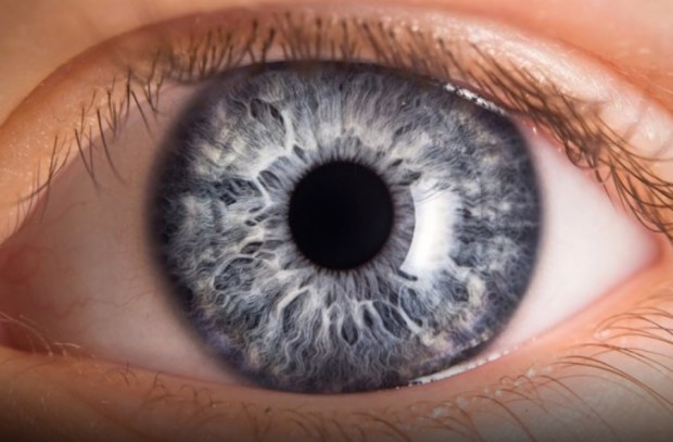 Във връзка със световния ден на глаукомата който се отбелязва