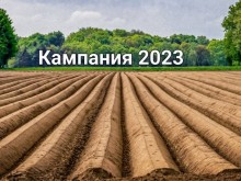 Екологична условност за "Плодове и зеленчуци": Внимавайте какво заявявате през 2023 г.