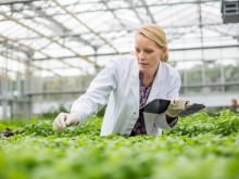 Фермери: Мнението ни се чува само ако правим протест