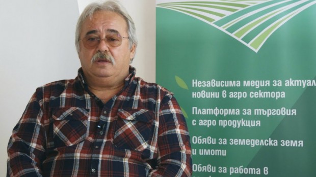 Александър Александров: Стратегическият план не е изработен добре