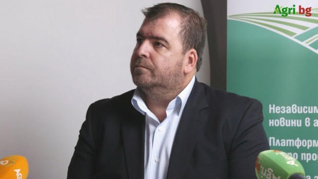 Кой е правил ставките в Стратегическия план - мистерията се разбули