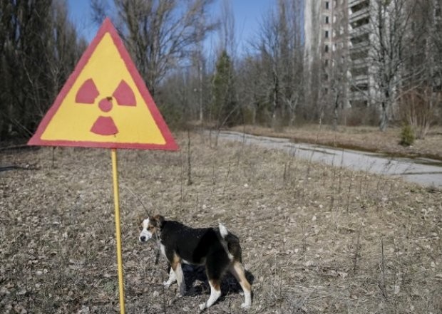 Аварията в атомната електроцентрала Чернобил през 1986 г е най голямата в историята
