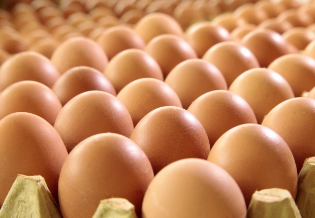 България е на четвърто място в ЕС по поскъпване на яйцата