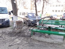 Клони се стовариха върху пейка в Пловдив, дете е пострадало