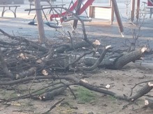Появиха се кадри от стряскащата гледка в парк "Белите брези"