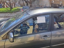 В Кършияка осъмнаха с "честитки"