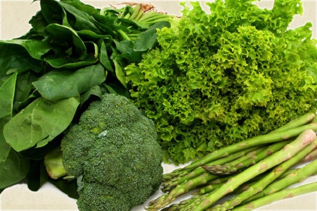 Учени от Чикаго установиха че порция зелени листни зеленчуци дневно