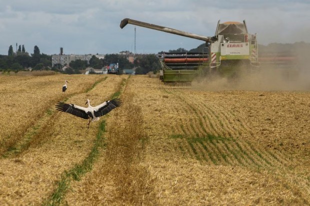 В Женева започнаха консултации за удължаване на зърнената сделка