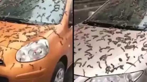 ������ �� ���� ������� ������� ����, � ���� ������ � ��������?