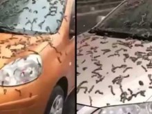 Хората не бяха виждали подобно нещо, а дали изобщо е възможно?