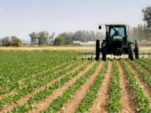 Възможности за подкрепа на земеделски стопани представят в Добрич