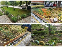 Над 1200 храста и около 20 дръвчета са засадени около жилища във Велико Търново през 2022-а