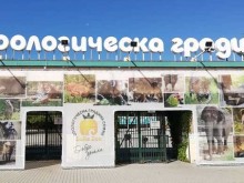 Столичният зоопарк се сдоби с два черни ягуара