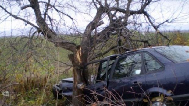 Шофьор се блъсна в крайпътно дърво между селата Бенковски и