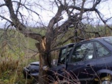 Шофьор се заби в дърво във Варненско, настанен е в реанимация