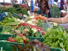 Пет нарушения откриха данъчните при днешните проверки на зеленчуковите борси