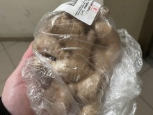 ��� ���� �� ��������� ���� ���������� ������