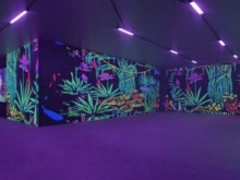 �������� ������ �� �� �������� � ��� ����������