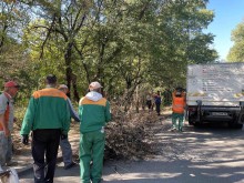 Днес стартира мащабно почистване на любим пловдивски парк