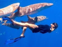 Да се сприятелиш с акула: Мишел - момичето, което от 8 години живее на Малдивите