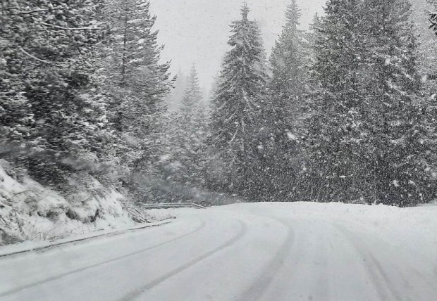 </TD
>Зимата се завърна с пълна сила в Родопите, предава Plovdiv24.bg.