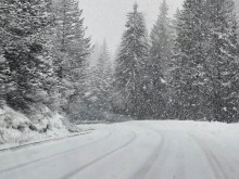 Жена шофьор свидетелства за тежки зимни условия в Родопите