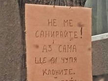 Пловдивчани сигнализират за опасни клони