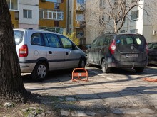 Пловдивчанин: Това същество спира по този безумен начин всеки ден от мързел