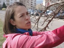 Жена сваля мартениците от дърветата