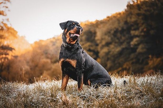 ���� ����� ����������� �� �� ����������� ����