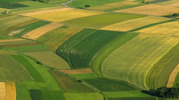 Годишните наеми на един хектар  10 декара  земеделска земя варират значително между регионите на страната