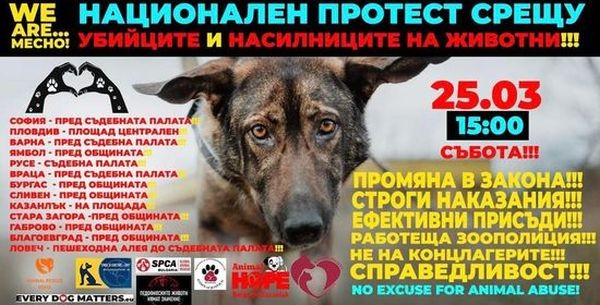 </TD
>Протест срещу насилието към животните ще се проведе в цялата