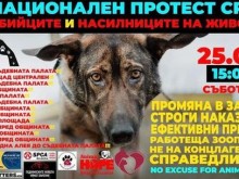 Протест срещу насилието над животни ще се проведе в Пловдив