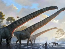 ������� �������� ������������ �� ��������� � ���-����� ����