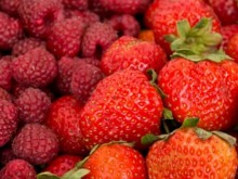 Производители на ягоди и малини излизат на протест