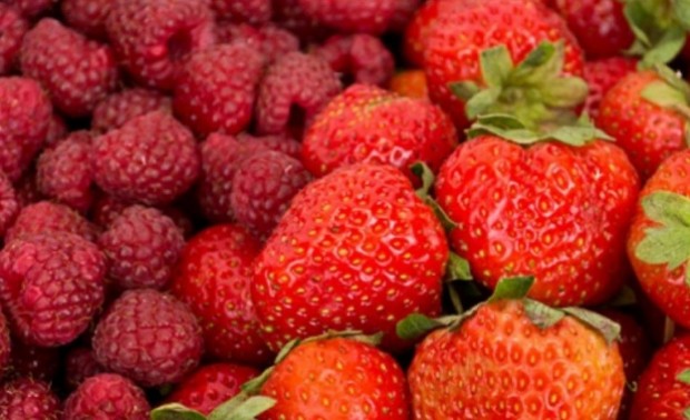 Производители на малини и ягоди излизат на протест днес Те