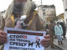 Протест срещу насилието над животни ще се проведе в Бургас