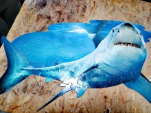 Природонаучният музей в Пловдив отбелязва Деня на водата по оригинален начин