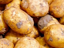 Пресните картофи по 12 лева за килограм на пазара в квартал "Люлин"