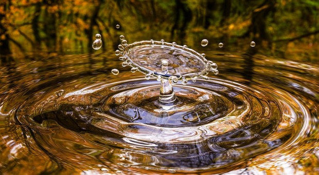 РИОСВ-Стара Загора ще отбележи Световния ден на водата