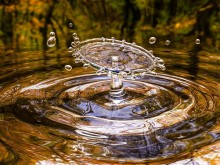 РИОСВ-Стара Загора ще отбележи Световния ден на водата