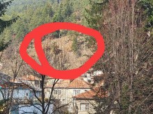 Родопчанка видя нещо голямо в гората: Пазете се, опасно е за всички!