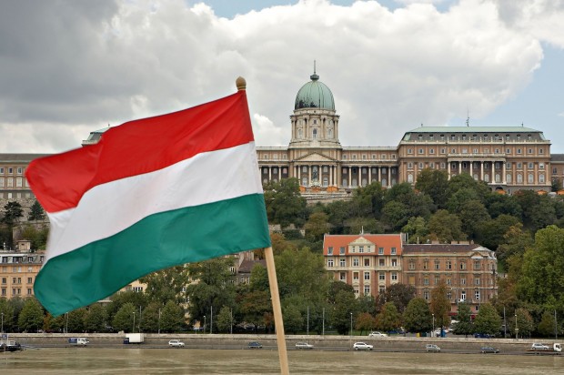 Будапеща: Унгария няма да арестува Путин