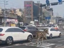 ������� ��������� � �������: ������� ���� �� �� ����� ����� ���