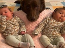 ���� ������� ����� ��� � �������