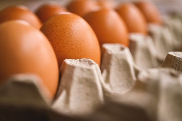 БАБХ ще обяви окончателните резултати от пробите от яйцата от Украйна и Латвия