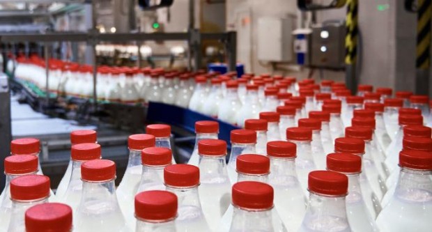 Млекопреработвател: При 300 производители не може да има и помисъл за картел