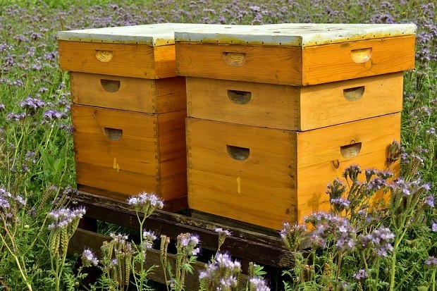 Благодарение на евросредствата машините навлизат и в българското пчеларство