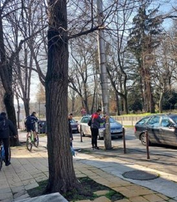 Общинската полиция в Добрич отново залови нарушители